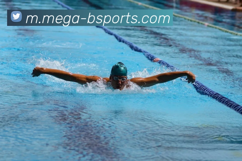 B体育平台生态图