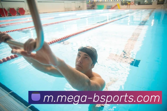 B体育APP 封面图